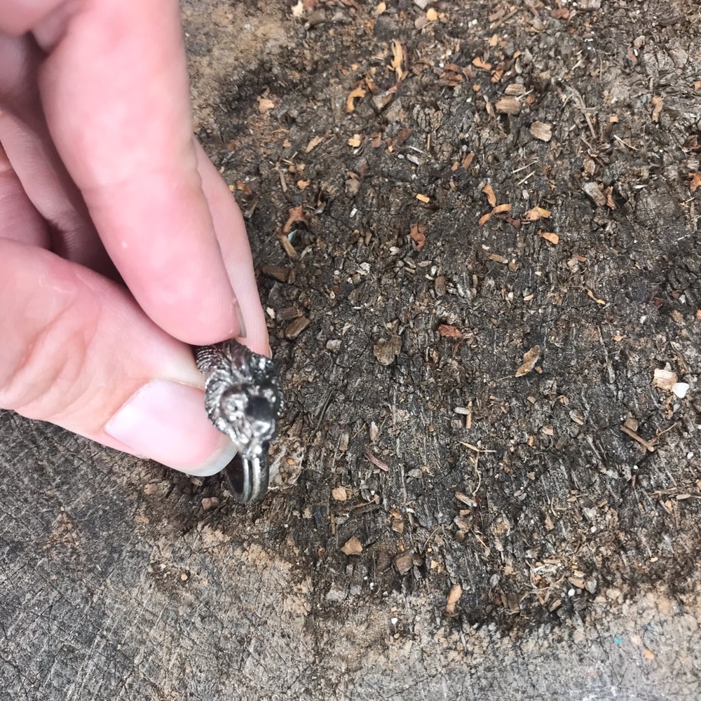 Vintage saber tooth tiger ring - Picture 6 of 7